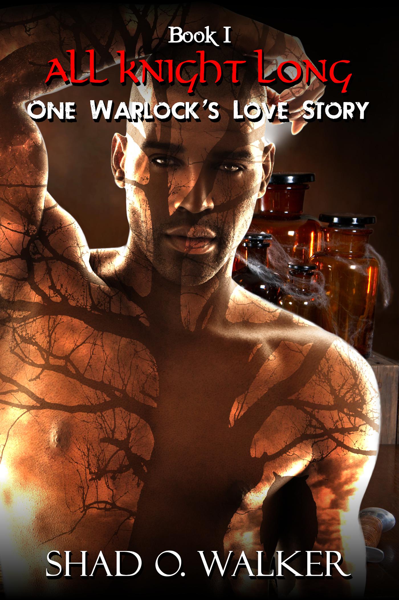 Check out this HOT Erotic Paranormal Romance Series, ONE WARLOCK’S LOVE STORY!