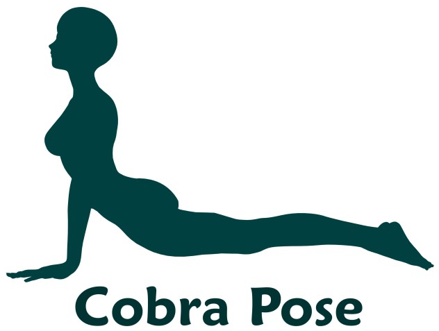 cobraposeexercise